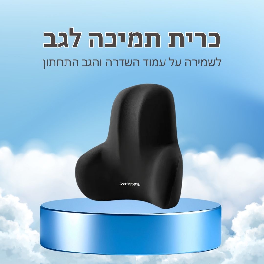 TALVORI™ ErgoBack — כרית תמיכה ארגונומית לגב התחתון