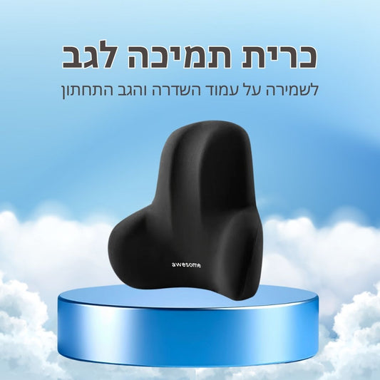 TALVORI™ ErgoBack — כרית תמיכה ארגונומית לגב התחתון